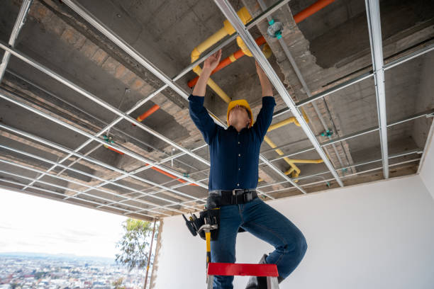 Best Emergency Plumber  in Northville, MI